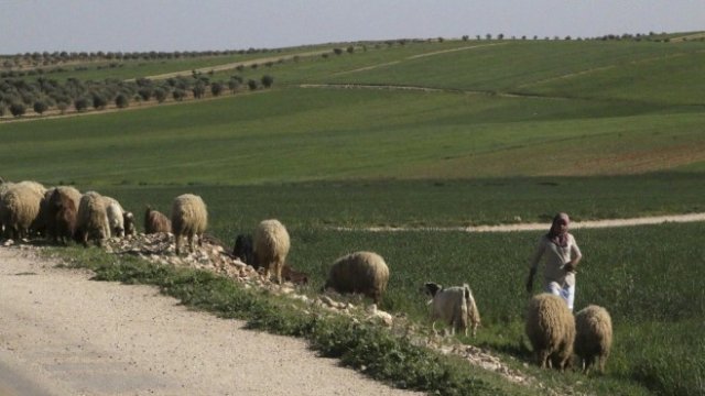 <p>
	<em>Снимка: Архив Ройтерс</em></p>
