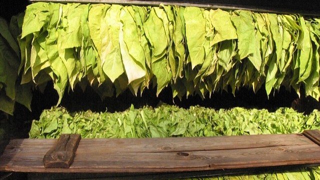 <p>
	<em>Снимка: Pixabay</em></p>
