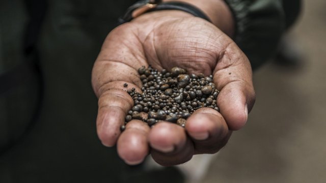 Снимка: Bloomberg LP