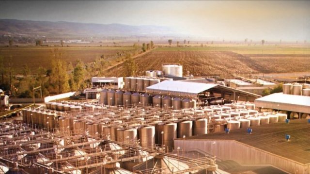 <p>
	<em>Снимка: vinpromkarnobat.bg</em></p>
