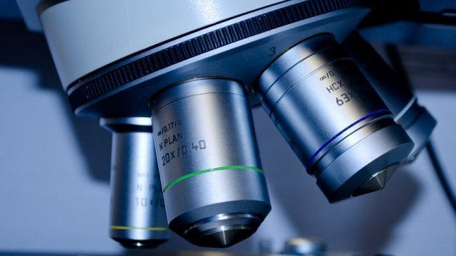 <p>
	<em>Снимка: Pixabay</em></p>
