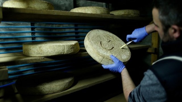 <p>
	Фермер от Франция проверява сирене, складирано за отлежаване. <em>Снимка: Архив Ройтерс</em></p>
