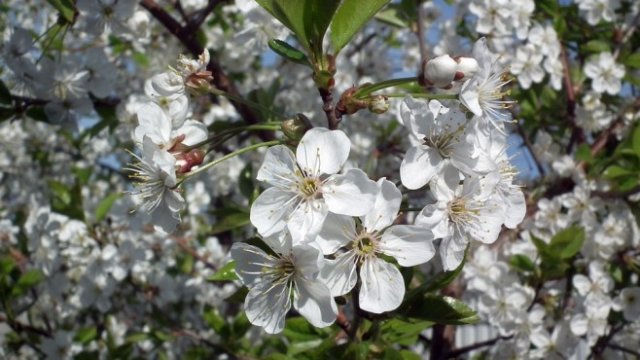 <p>
	<em>Снимка: Pixabay</em></p>
