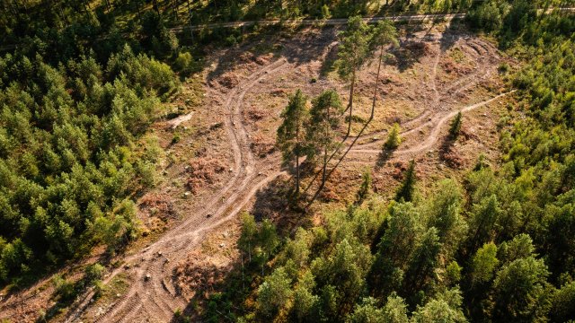 Снимка: Bloomberg L.P.