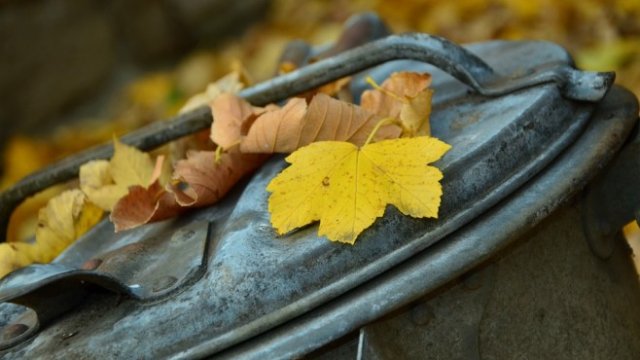 <p>
	<em>Снимка: Pixabay</em></p>
