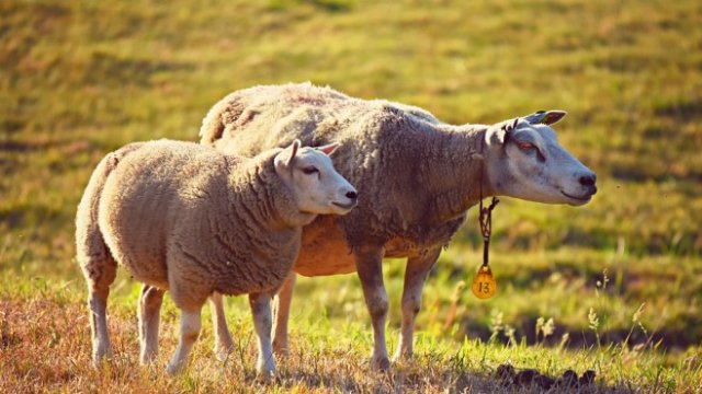 <p>
	<em>Снимка: Архив Ройтерс</em></p>
