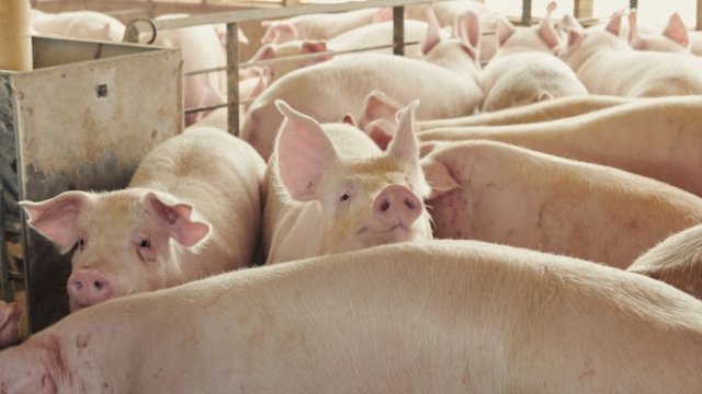 <p>
	<em>Снимка:&nbsp;Dan Brouillette/Bloomberg</em></p>
