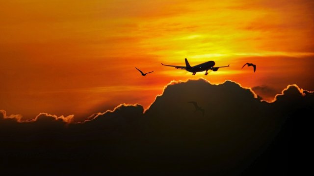 Снимка: Pixabay