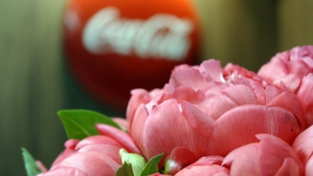 <p>
	<span style="color: rgb(42, 52, 63); font-family: Arial; font-size: 14px;">ИТ центърът на Coca-Cola HBC в София. 30 май 2018. <em>Снимка: С.Грозева/Bloomberg TV Bulgaria</em></span></p>

