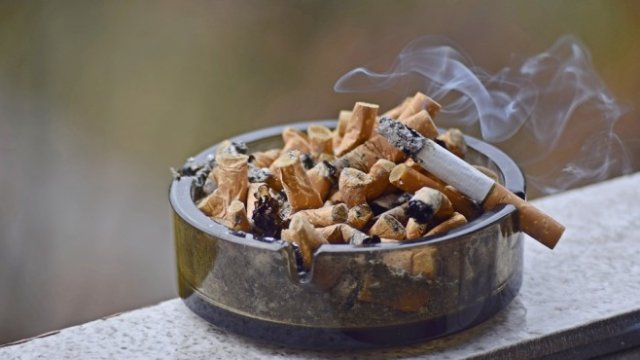 <p>
	<em>Снимка: Pixabay</em></p>
