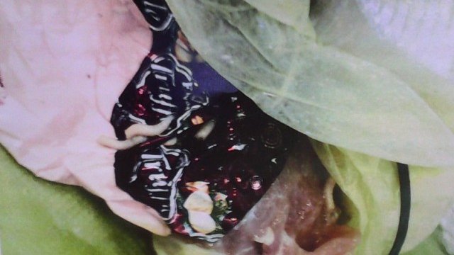 <p>
	Пламен Моллов показа снимка, която според него доказва, че в преработваното от компанията месо са открити червеи. <em>Снимка: БАБХ</em></p>
