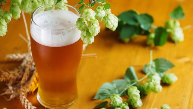 Снимка: Съюз на пивоварите в България