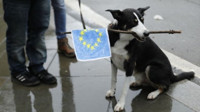 <p>
	<span style="color:#000000;"><em font-size:="" pt="" style="color: rgb(102, 102, 102); font-family: ">Снимка:&nbsp;Luke MacGregor/Bloomberg</em></span></p>
