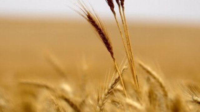 <p>
	<em>Снимка: Архив Ройтерс</em></p>
