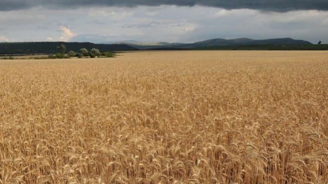 <p>
	<em>Снимка: БТА</em></p>
