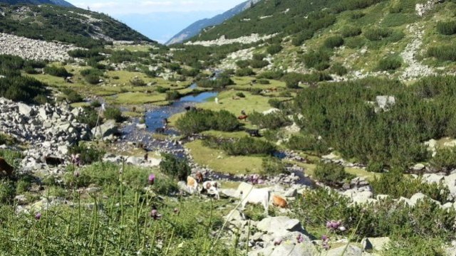 <p>
	<em>Снимка: Investor.bg</em></p>
