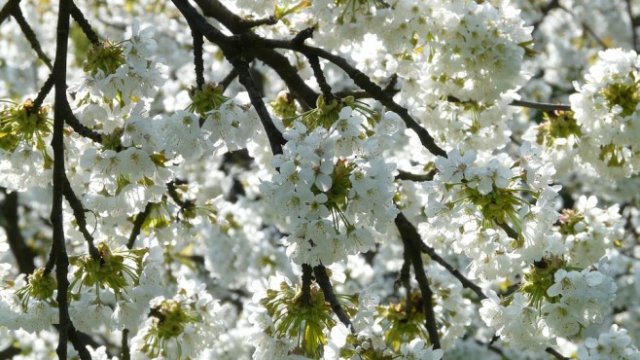 <p>
	<em>Снимка: Picabay</em></p>
