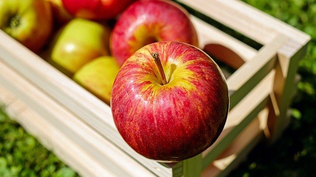 <p>
	<em>Снимка: Pixabay</em></p>
