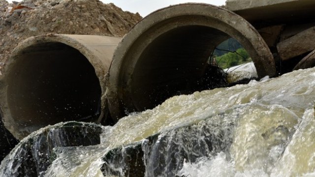 <p>
	<em>Снимка: Pixabay</em></p>
