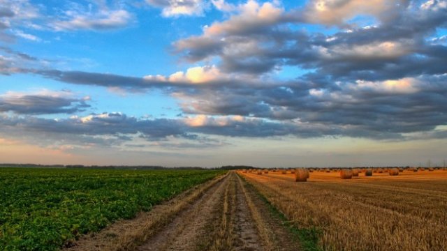 <p>
	<em>Снимка: pixabay.com</em></p>
