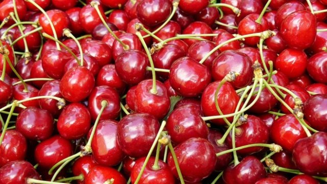 <p>
	<em>Снимка: Pixabay</em></p>
