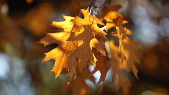 <p>
	<em>Снимка: Олег Попов, Investor Media Group</em></p>
