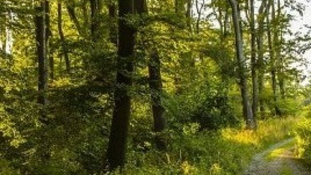 <p>
	<em>Снимка: Pixabay.com</em></p>
