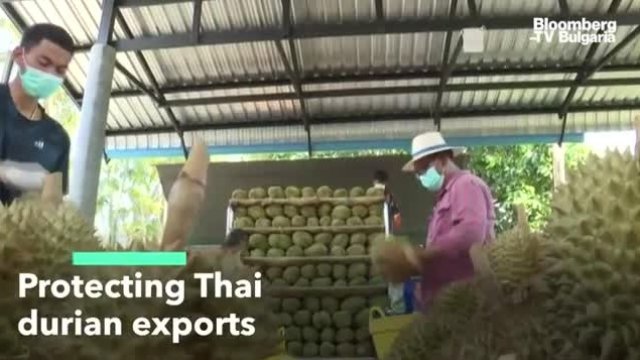 Тайландският дуриан за Китай е COVID-обезопасен