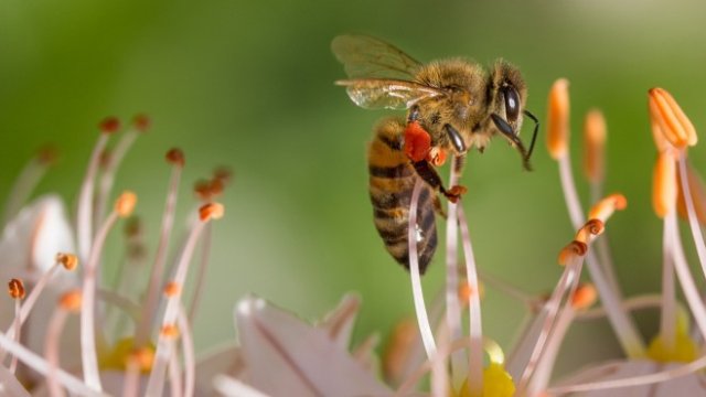 <p>
	<em>Снимка: Pixabay</em></p>
