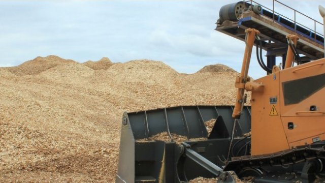 <p>
	Снимка: fazerles.com</p>
