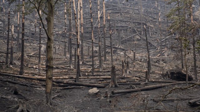 <p>
	<em>Снимка: EPA/БГНЕС</em></p>
