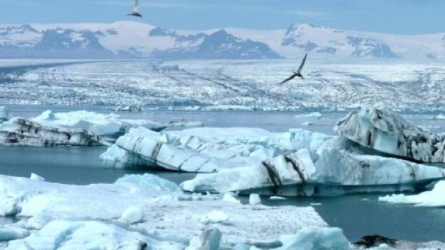 <p>
	<em>Снимка: pixabay.com</em></p>
