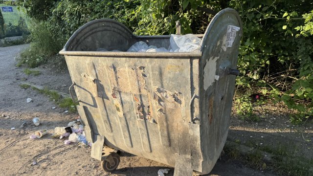 Снимка: БГНЕС