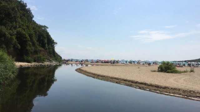 <p>
	<em font-size:="" pt="" style="color: rgb(102, 102, 102); font-family: ">Снимка: Гергана Костадинова, БГНЕС</em></p>
