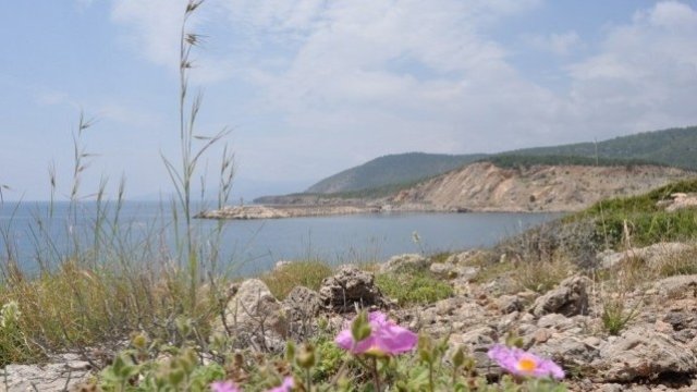 <p>
	Теренът, върху който ще се строи централата. <em>Снимка: АЕЦ &quot;Аккую&quot;</em></p>
