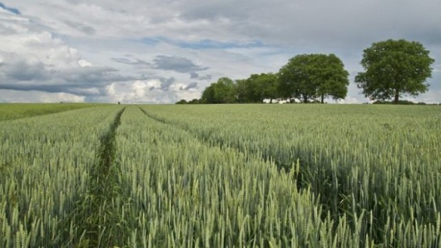 <p>
	<em>Снимка: Pixabay.com</em></p>
