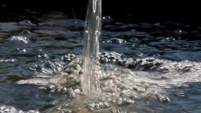 <p>
	<em>Снимка: Pixabay</em></p>
