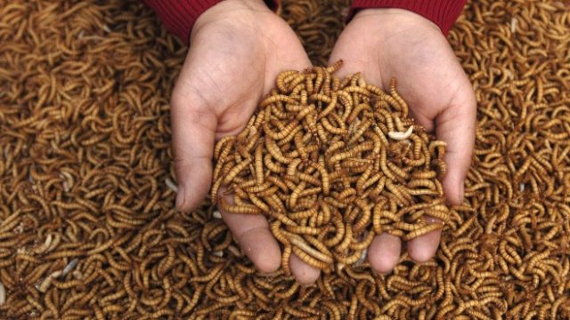 <p>
	Снимка: Ройтерс</p>
