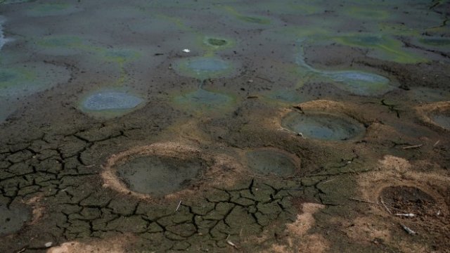 <p>
	<em>Снимка: Ройтерс</em></p>
