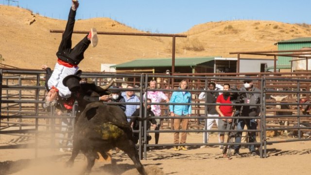 <p>
	Jackass Forever. <em>Снимка: Praesens Film</em></p>
