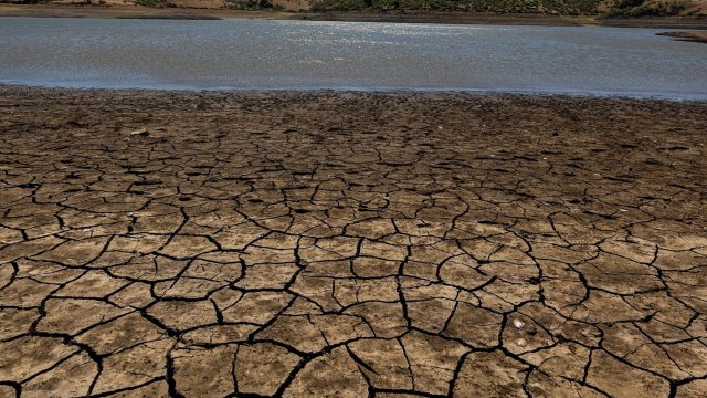 Снимка: Bloomberg L.P.