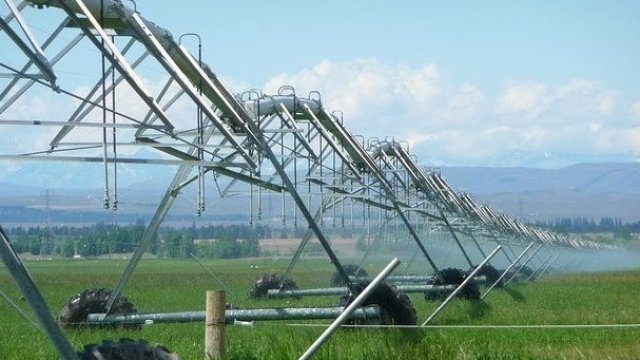 <p>
	<em font-size:="" pt="" style="color: rgb(102, 102, 102); font-family: ">Снимка: Pixabay</em></p>
