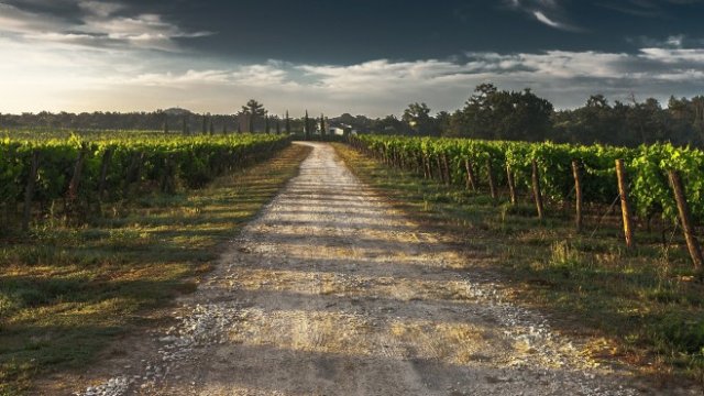 <p>
	<em>Снимка: Pixabay.com</em></p>
