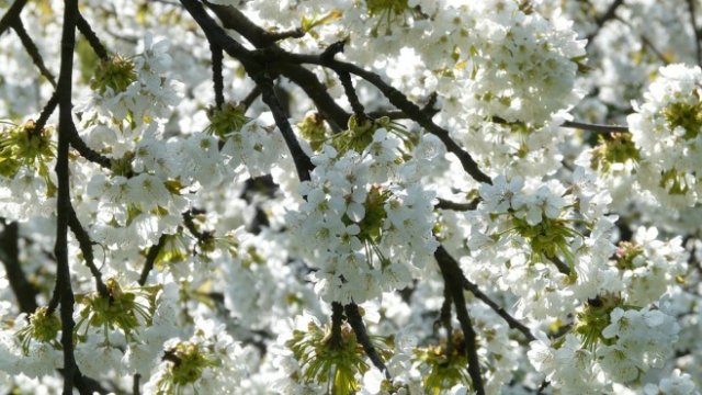 <p>
	<em>Снимка: Picabay</em></p>
