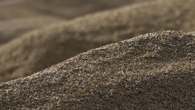 <p>
	<em>Снимка: Архив Ройтерс</em></p>
