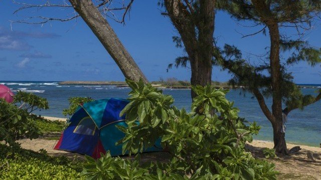 <p>
	<em>Снимка: Pixabay</em></p>
