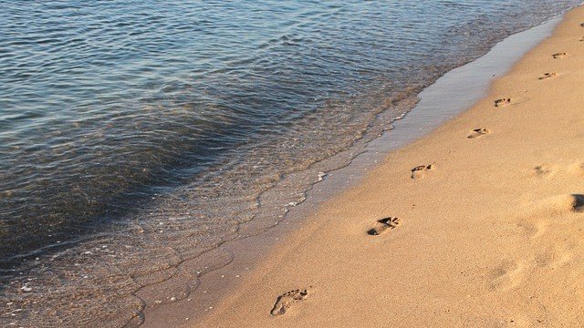 <p>
	<em>Снимка: Pixabay</em></p>
