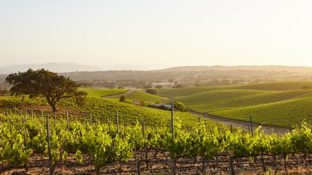 Снимка: freepik.com