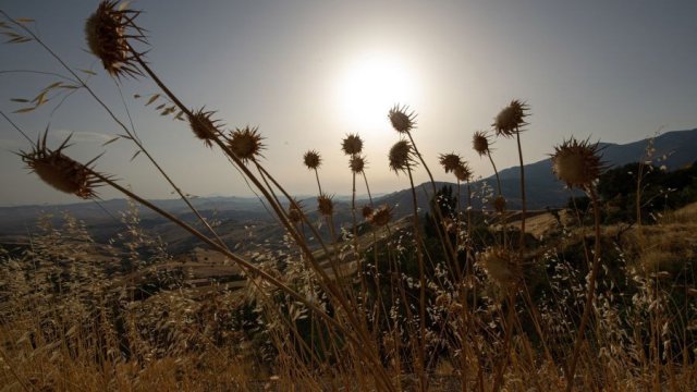 Снимка: Tullio Puglia/Bloomberg