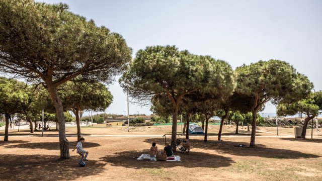 Снимка: Bloomberg